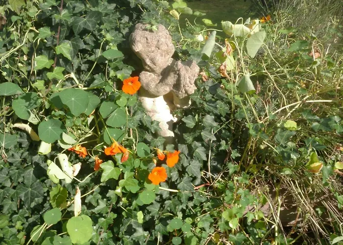 Glueck In Benrath בית אירוח