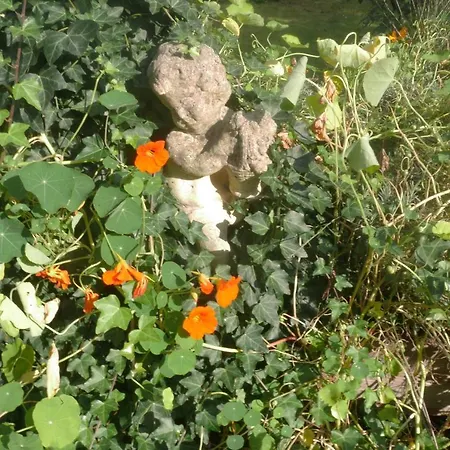 Glueck In Benrath Homestay