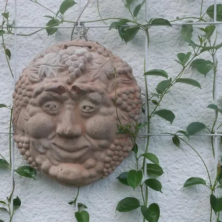 Проживание в семье Glueck In Benrath Дюссельдорф